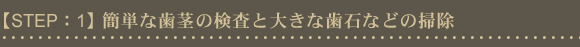 簡単な歯茎の検査と大きな歯石などの掃除